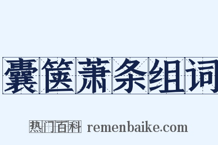 囊箧萧条组词是什么意思的图片